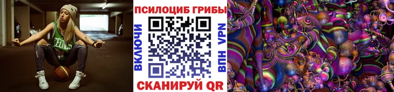Псилоцибиновые грибы GOLDEN TEACHER  наркота  ссылка на мегу сайт  Карачаевск 