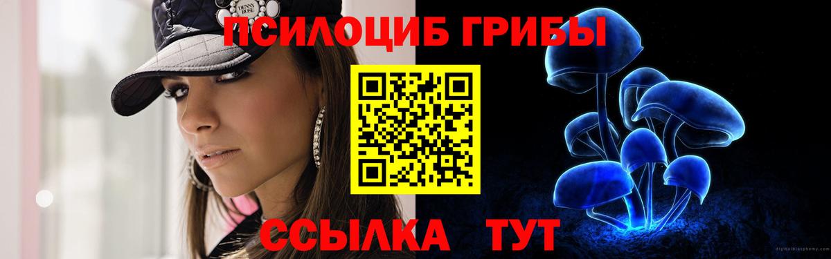 Галлюциногенные грибы Cubensis Карачаевск