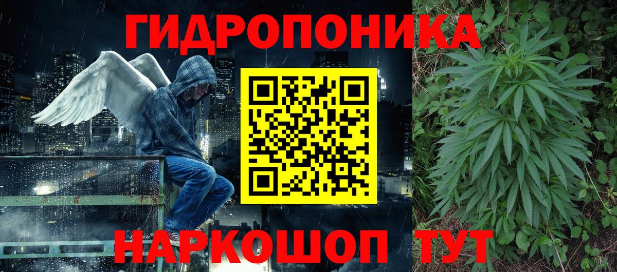 Конопля White Widow Карачаевск